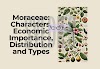Moraceae: Characters, Economic Importance, Distribution and Types