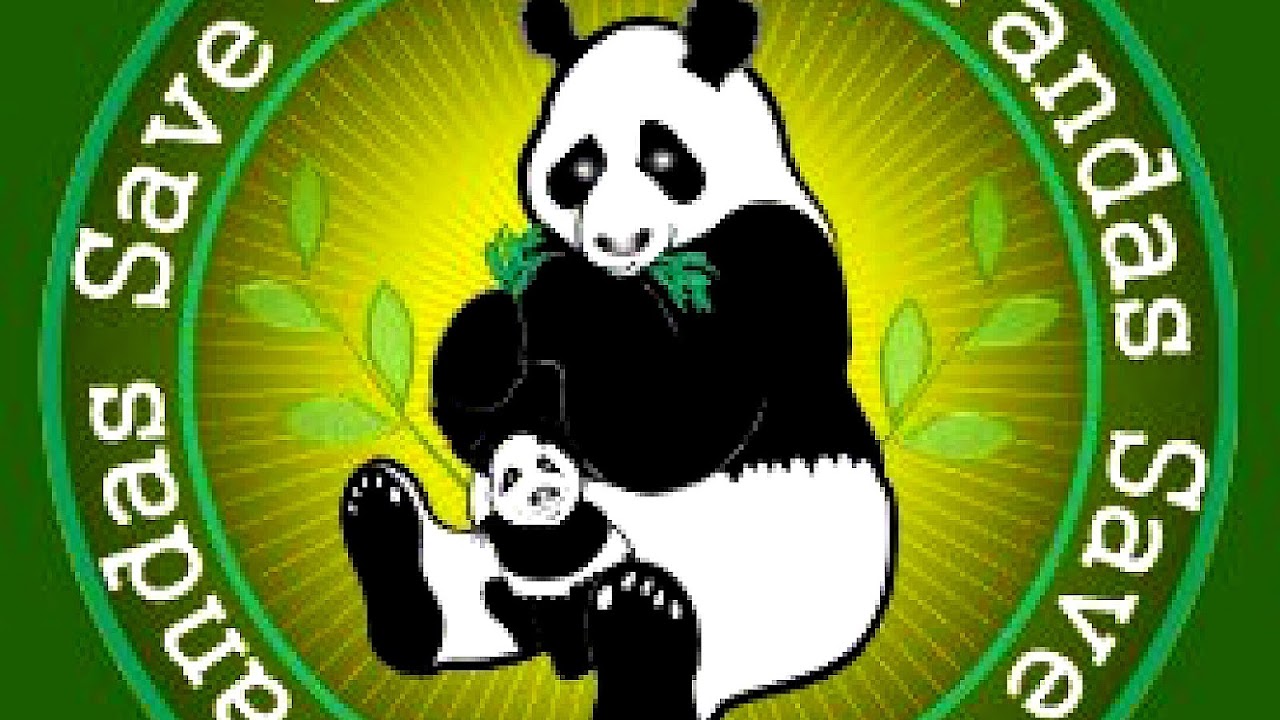 Why Is Giant Panda Endangered