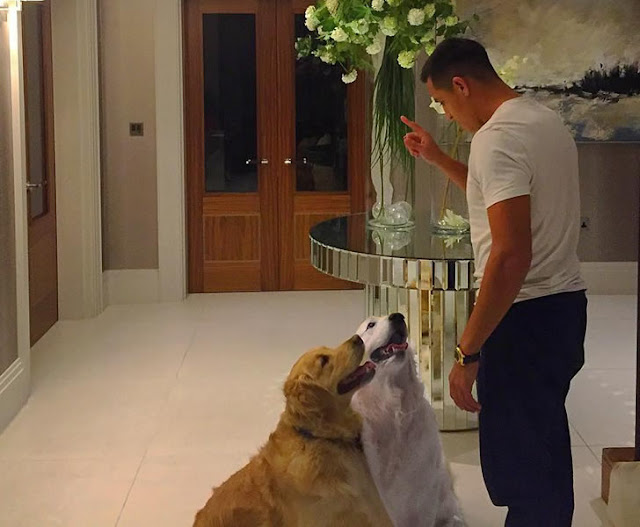 Alexis Sanchez's and His Dogs (Atom & Humber)