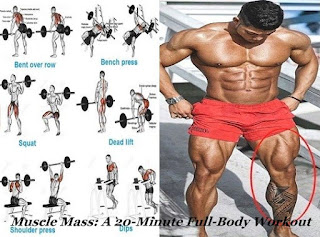 www.guidemuscle.com