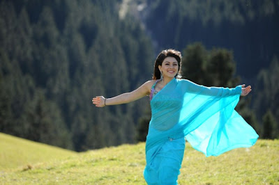 hansika motwani saree unseen pics