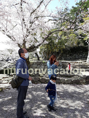 Hanami Matsusaka 2017