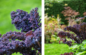 Bland grøntager med havens blomster og skab spændende haveoplevelser