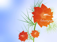 Anggrek Flower by adsanjaya