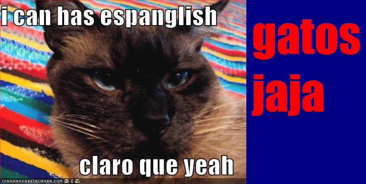 Gatos JaJa