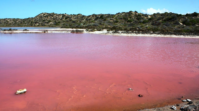 Pink Lakes - Rare Natural Wonders