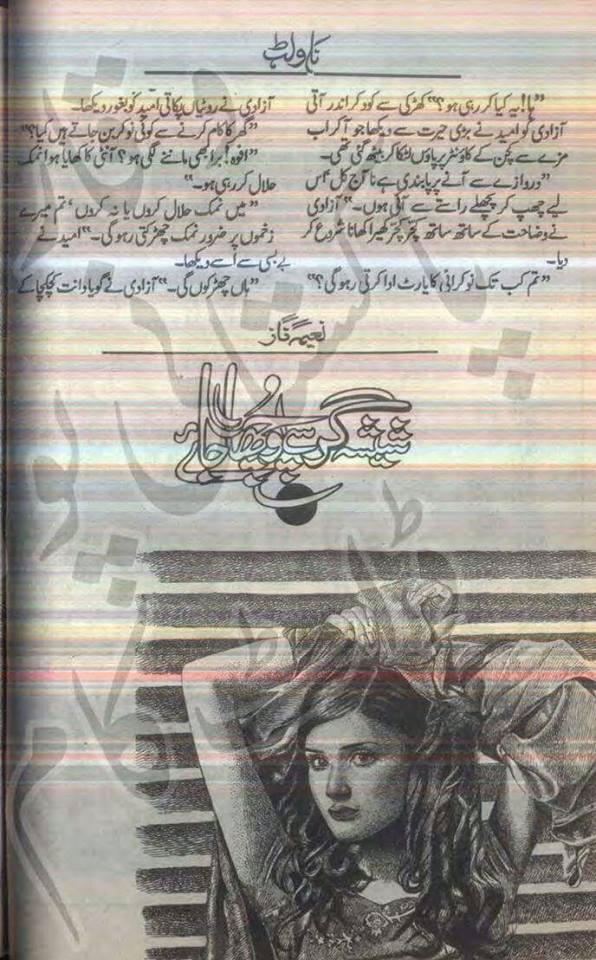 Kitab Dost: Sheesha Gar Se Poocha Jaye by Naeema Naz 