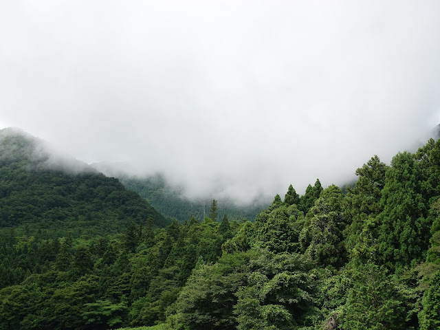 鳥取県西伯郡大山町佐摩　農道からの眺め