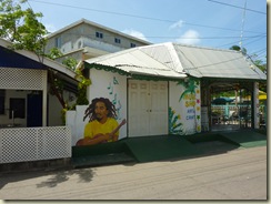P1070796