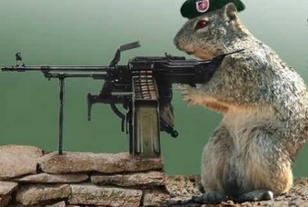 funny animals with guns shooting funny animals with guns shooting