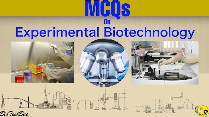 MCQs on Experimental Biotechnology NPTEL Assignments