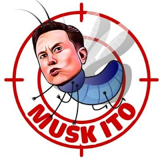 musk-ito-mito