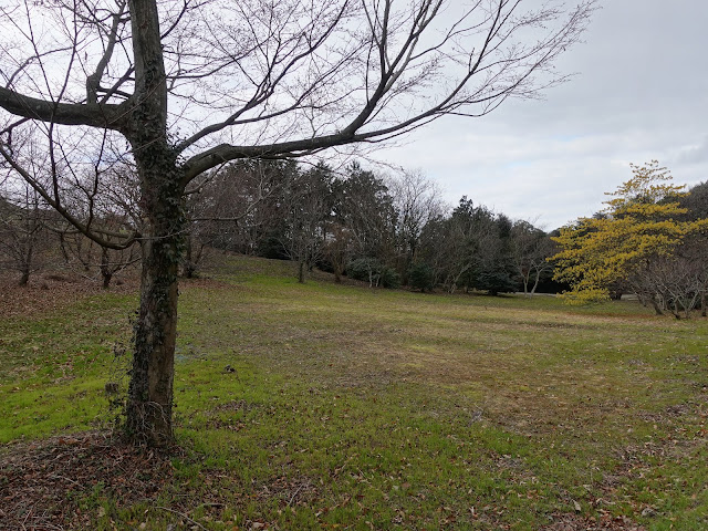 むきばんだ史跡公園　弥生の森