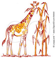 illustration-giraffe-eating