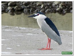 20110612_085621_023_ShuangxiRiver
