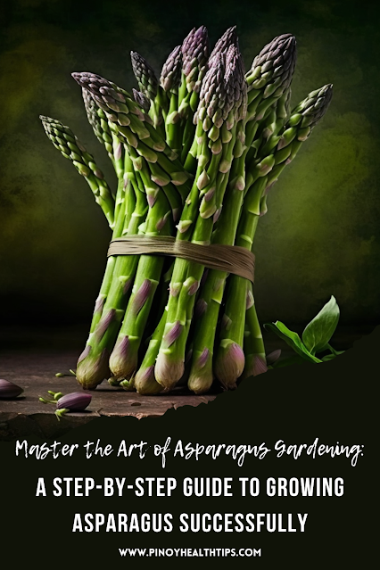 Master the Art of Asparagus Gardening: A Step-by-Step Guide to Growing Asparagus Successfully