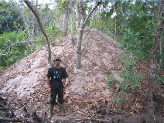 Tanimbar megapode nest, much bigger than person standing to the left of it.