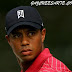 TIGER WOODS ES EL MEJOR PAGADO