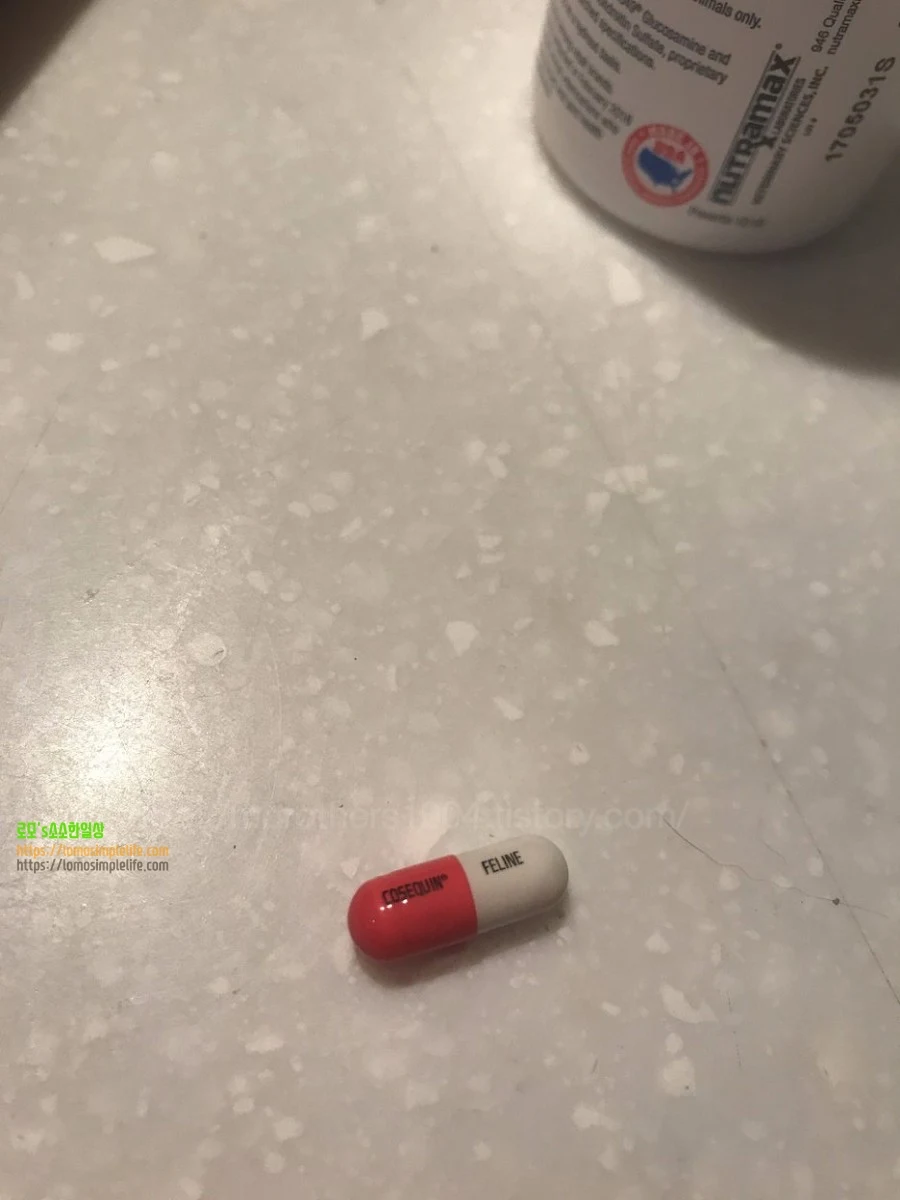 코세퀸 고양이 관절약, Cosequin Joint Health Supplement For Cats
