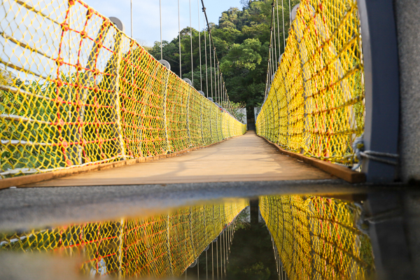 台中太平|蝙蝠洞|百蝠橋|蝙蝠洞登山步道|觀景台|豐富生態之旅