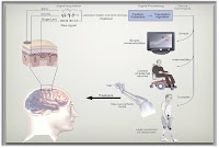 Brain Computer Interface2