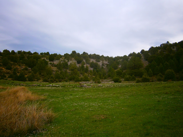 El Rento de los Agallanes, en Campillos Sierra. Autor: Miguel Alejandro Castillo Moya