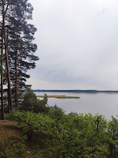 Zwiedzanie Borów Tucholskich