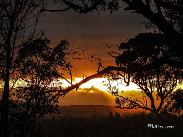 SUNRISE ON THE URAMBI HILLS