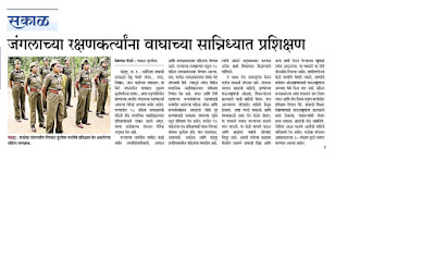 tadoba-tiger-farest gard_trenig