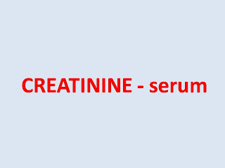 CREATININE - serum