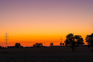 Wildlifefotografie Lippeaue Olaf Kerber Sonnenuntergang