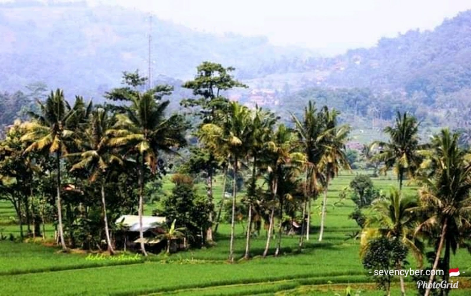 Pemandangan Alam Indah Lelah Saat Mudik