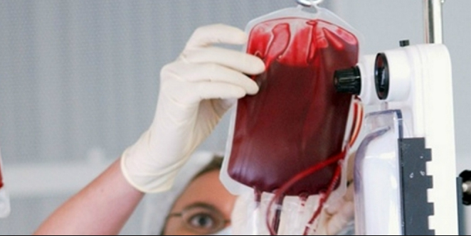 Tranfusi Darah: Pengertian dan Manfaatnya  Pintar Biologi