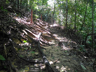 taman negara pulau pinang, teluk kampi