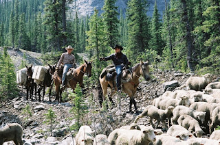 brokeback mountain-heath ledger-jake gyllenhaal