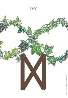 травяные руны карты herbal runes