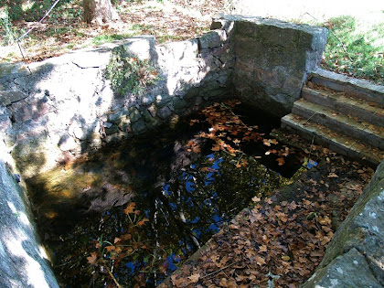 La font de Navarons
