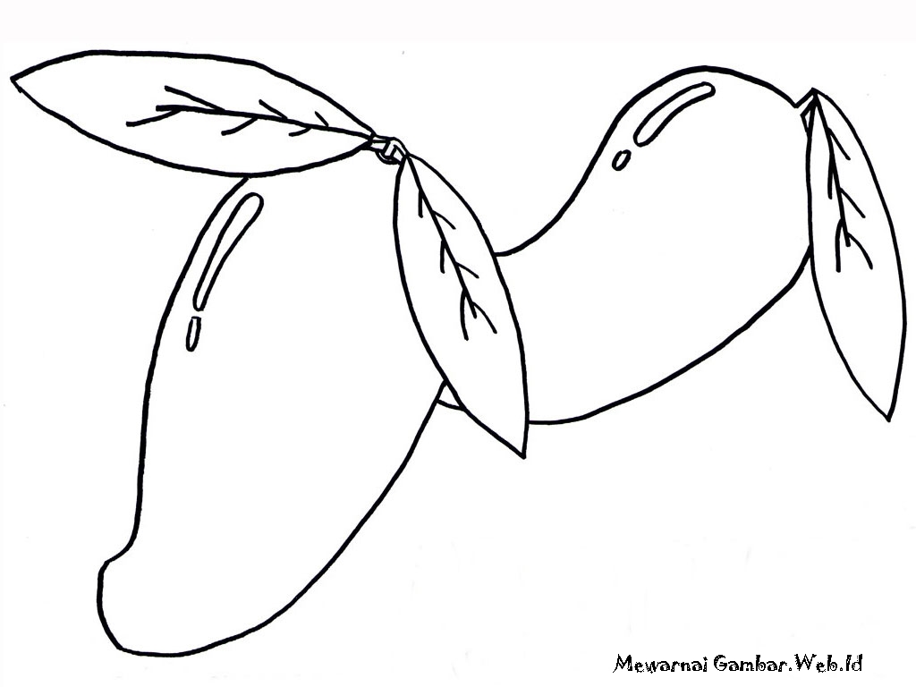 Gambar Tanaman Apel India - Gambar V