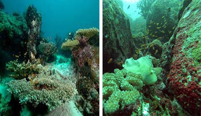 PULAU WEH - SURGANYA PARA PECINTA SELAM