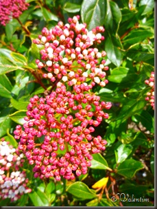 P1140332