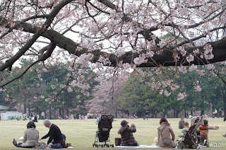 Parque de Shinjuku, Tokio