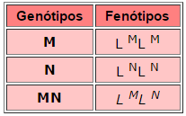 Resultado de imagem para Sistema sanguÃ­neo MN