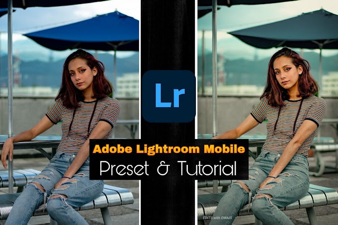 Adobe Lightroom Mobile moody Blue Tone Preset 
