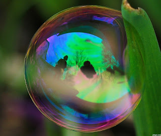 Reflection bubble on a leaf