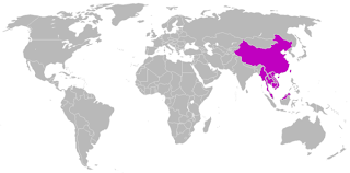 10 bahasa besar dunia, 10 bahasa dengan pengguna terbanyak, 10 
bahasa internasional, peringkat bahasa, jumlah pengguna bahasa di dunia,
 sejarah bahasa mandarin, peta pengguna bahasa, bahasa-bahasa 
internasional