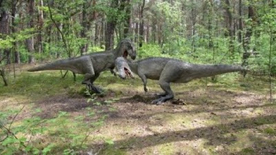 Dinosaur Park Poland Cool Images & Videos