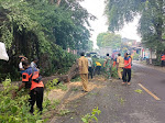  Pohon tumbang Ganggu Jalan di Pragaan, BPPD dan Forpimka Turun Tangan