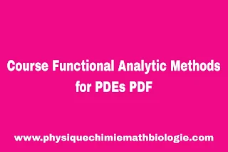 Course Functional Analytic Methods for PDEs PDF
