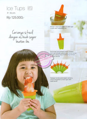 Katalog Tupperware Promo Januari 2016