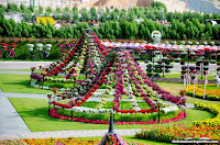 Dubai Miracle Garden